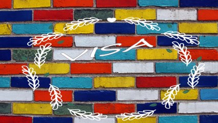 VISA KNOWLEDGE  Channel Intro