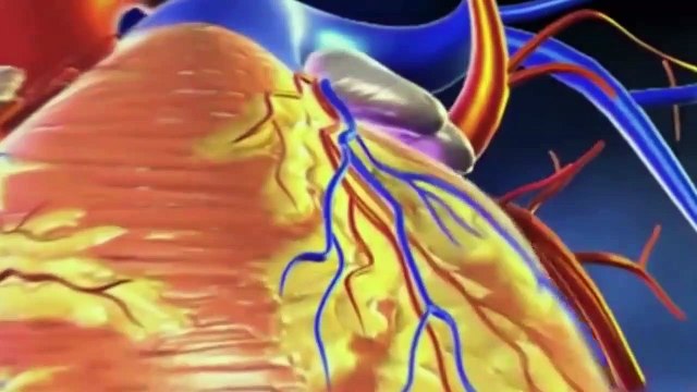 Thực Dưỡng: Những loại thực phẩm gây cao huyết áp (re-up)
