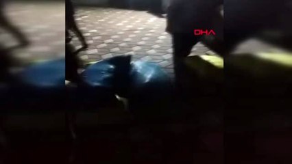 Zonguldak'ta 49 çuval kaçak defne yaprağı ele geçirildi