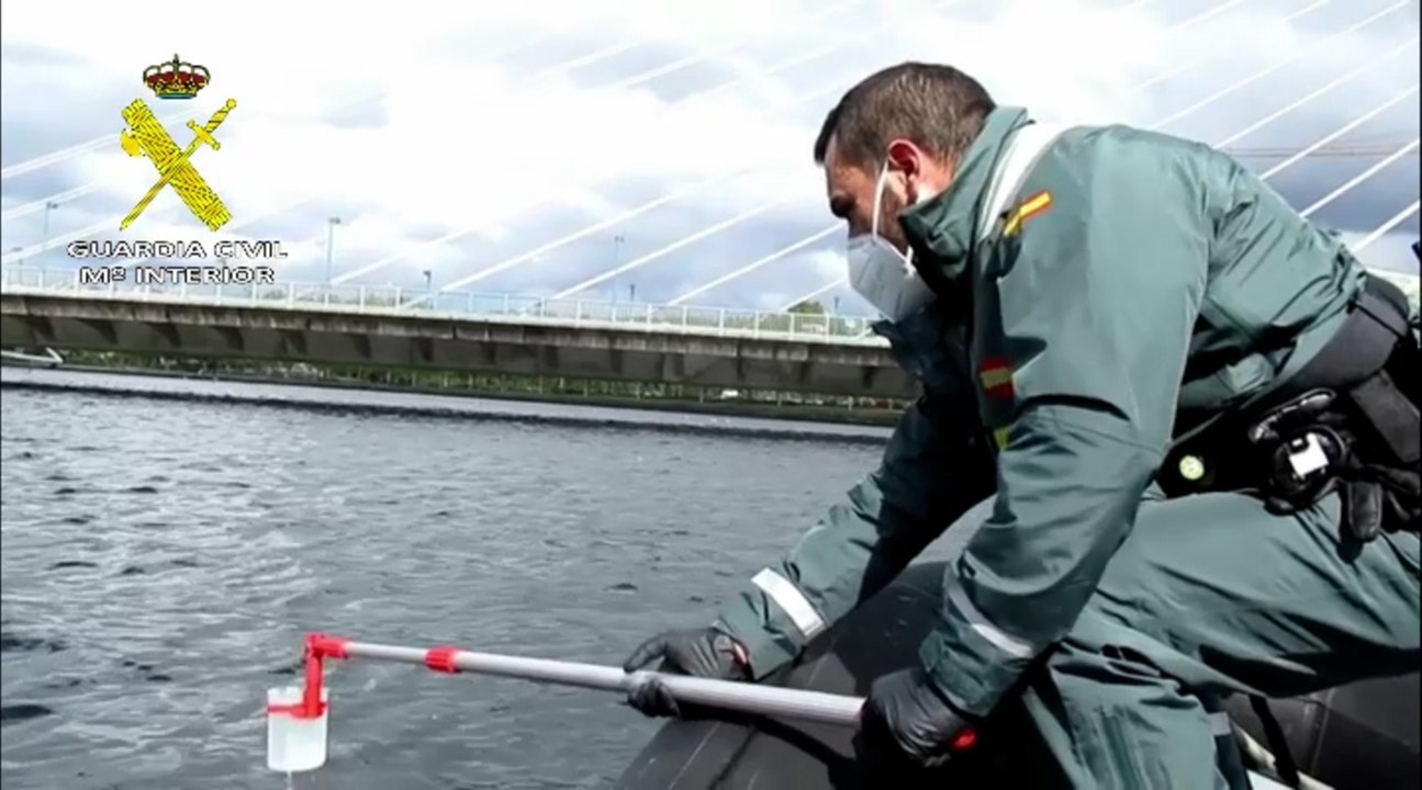 Investigación concluye que la mortandad de peces en el Río Lérez "fue selectiva"
