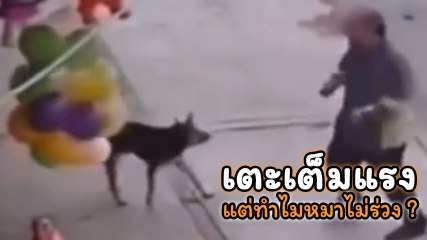 ชายหัวร้อน หงุดหงิดสุนัขไล่เห่า หันไปหวังเตะให้ร่วง สุดท้าย.....