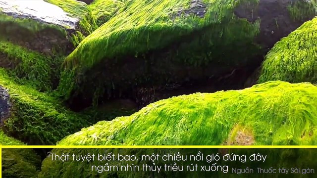 Điểm mặt chỉ tên hàng loạt địa chỉ du lịch đẹp đến ngỡ ngàng của đất Phú Yên