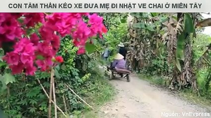 CON TÂM THẦN KÉO XE ĐƯA MẸ ĐI NHẶT VE CHAI Ở MIỀN TÂY
