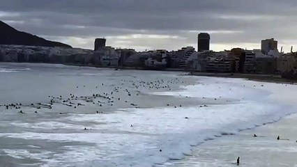 Surfistas amontoam-se em praia das Ilhas Canárias