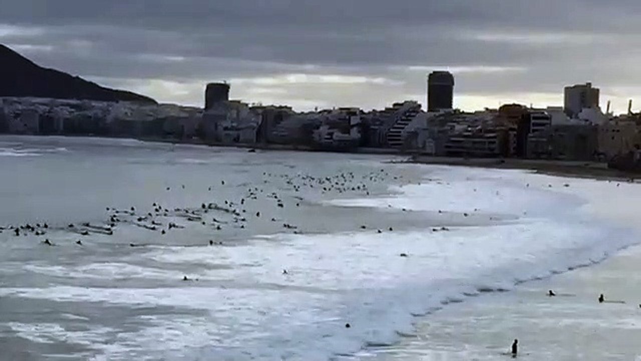 Surfistas amontoam-se em praia das Ilhas Canárias
