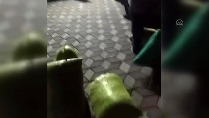 Zonguldak'ta 49 çuval kaçak defne yaprağı ele geçirildi