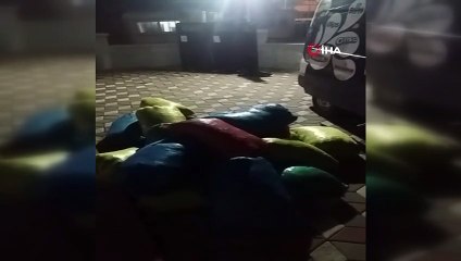 Ormandan izinsiz toplanan 748 kilo defne yaprağı ele geçirildi