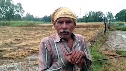 गोण्डा: अन्नदाता बेहाल, रबी की फसल चौपट, क्षति का आकलन कराने में जुटा प्रशासन