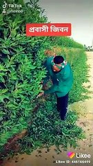 প্রবাসী  কষ্টেজিবন গান  বাংলা নতুন  বাংলা গান বাংলাদেশের         প্রবাসীদের জীবন কেমন কাটে? এ প্রশ্নটা অনেকেরই। কারও কারও রয়েছে বিশেষ কৌতূহল। অন্তত যাঁরা প্রবাসী নন। কৌতূহলটা তাঁদেরই বেশি যাঁদের স্বজনেরা প্রবাসী। আমজনতার আগ্রহ যে নেই,