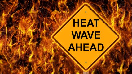 The World Health Organization Warns Summer Heat Exacerbating COVID-19 Pandemic