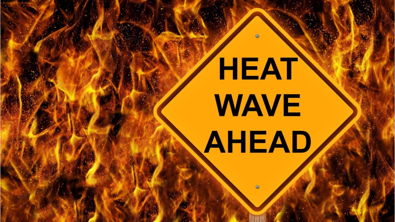 The World Health Organization Warns Summer Heat...