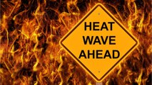The World Health Organization Warns Summer Heat Exacerbating COVID-19 Pandemic