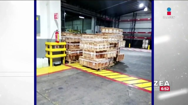 Pofepa rescata a casi 13 mil tortugas de agua dulce