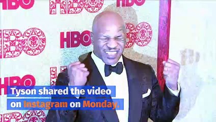 Mike Tyson Posts Training Video Montage Declaring 'I'm Back'