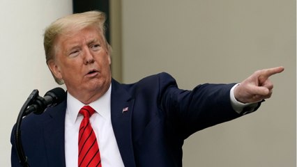 President Trump Defends Elon Musk