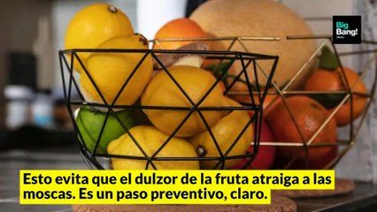 Implementá estos sencillos y efectivos trucos para eliminar las insoportables "mosquitas de la fruta"