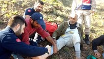 Mantar toplarken yaralanan 65 yaşındaki vatandaş, kurtarıldıktan sonra ceza yazıldı