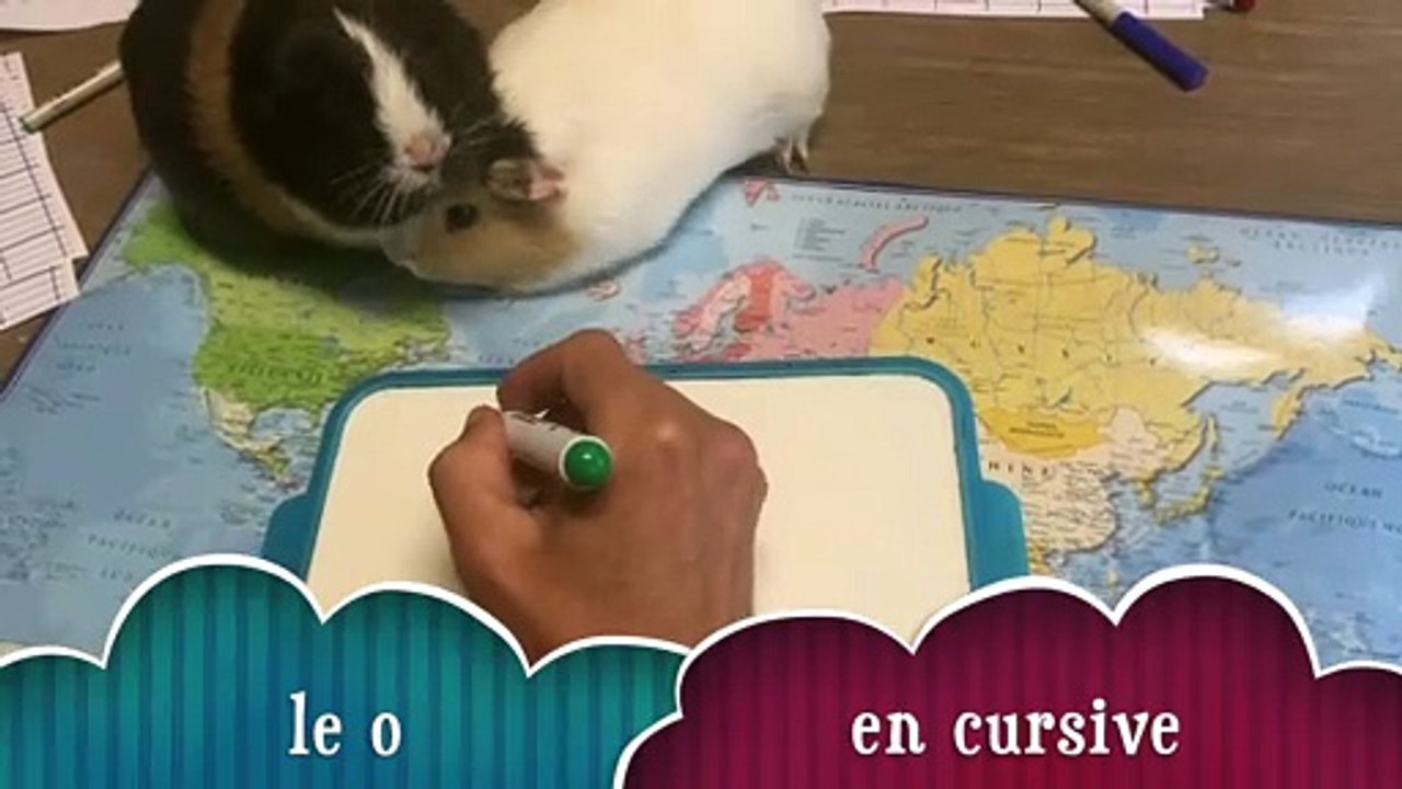 Le o en cursive