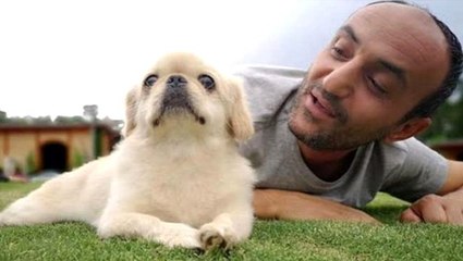 Köpeğinin öldüğünü bilmeyen Ersin Korkut'un sözleri herkesi duygulandırdı