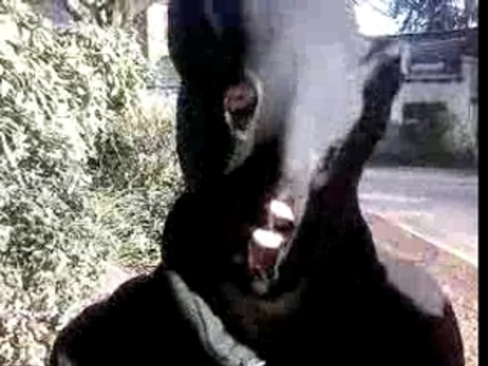 me ta cagoulle