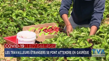 TVA Nouvelles CHAU 18H 12 Mai 2020