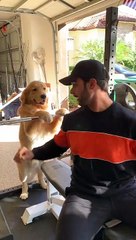 Leo Will Help Once he Gets Food