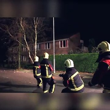 Regardez qui vient aider les pompiers... Tellement mignon