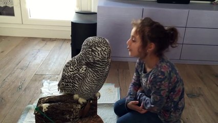 Cette chouette adore les bisous