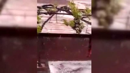 Sağanak ve dolu tarım alanlarına zarar verdi
