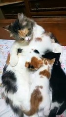 Triplets Bath Time While Breastfeeding