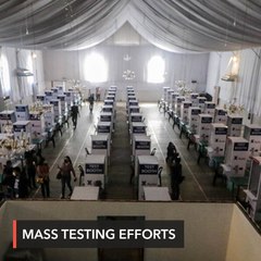 Gov’t aims for 30,000 coronavirus swab tests daily by May 30 – Dizon