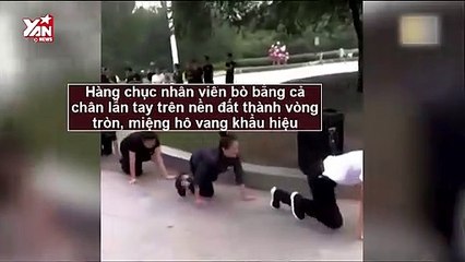Phẫn nộ với hình phạt đầy sỉ nhục dành cho các nhân viên: Đi làm hay đến cho người ta lăng mạ?