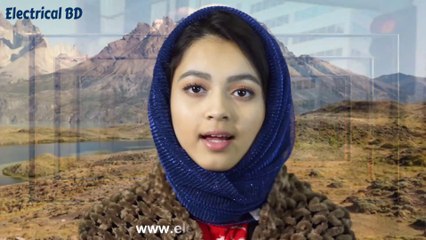 করোনা ভাইরাস নিয়ে মাননীয় প্রধানমন্ত্রীর কাছে বাংলাদেশী বংশোদ্ভূত নিউ ইয়র্ক কন্যার হৃদয়বিচারক আর্তনাদ।