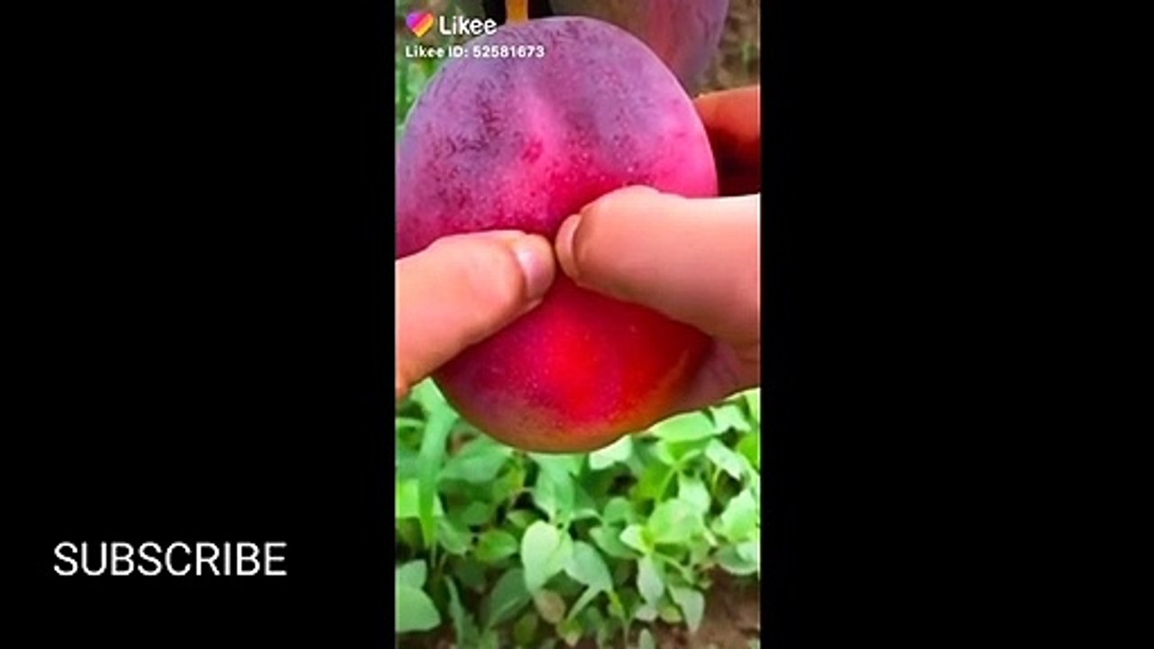 Beautiful fruit cutting compilation video