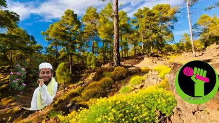 ভালো লাগার মতো একটি ইসলামী সংগীত  না দেখলে বুজবেননা খুব সুন্দর একটি ইসলামীক ভিডিও..