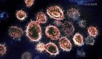 How viruses like the coronavirus mutate