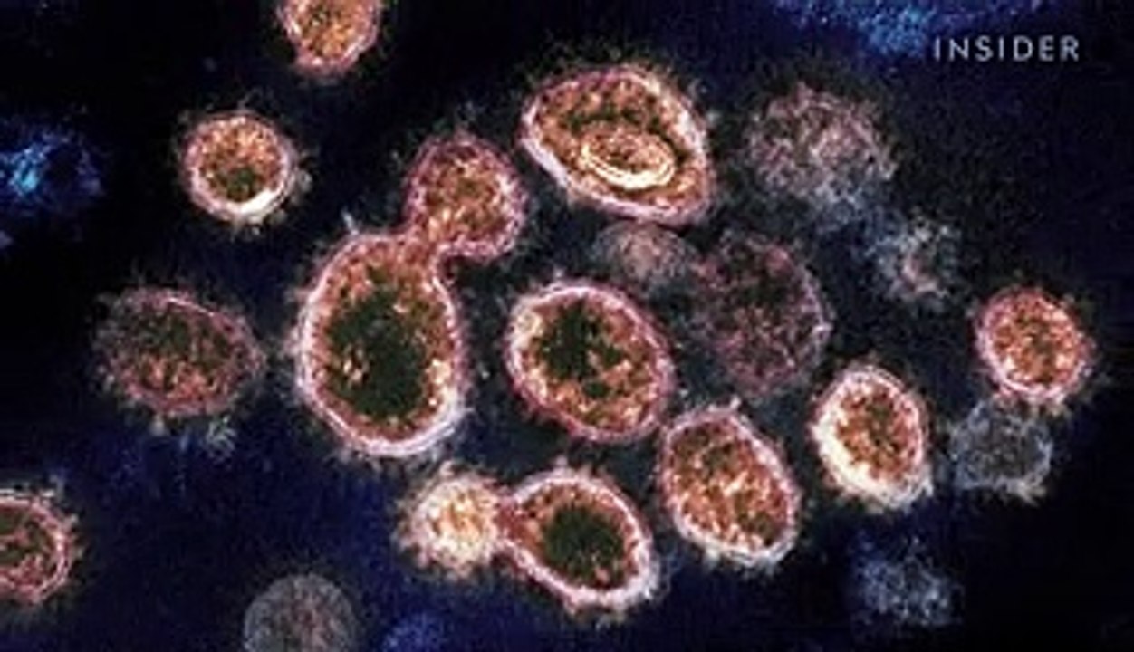 How viruses like the coronavirus mutate