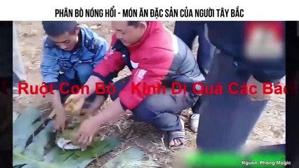 PHÂN BÒ NÓNG HỔI - MÓN ĂN ĐẶC SẢN CỦA NGƯỜI TÂY BẮC