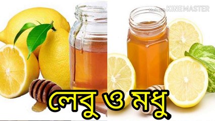 লেবু-মধু ওজন কমাতে সহায়ক! কী বলছেন চিকিৎসকরা