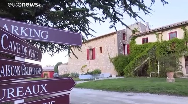 Ils inventent des nouvelles façons de vendre et de faire apprécier leur vin