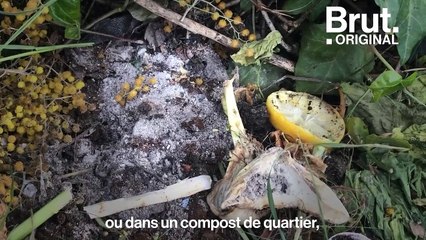 Tuto : Comment faire un compost dans son jardin
