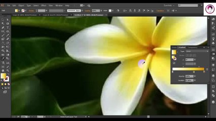 How to Make Flower Design in illustrator 2020