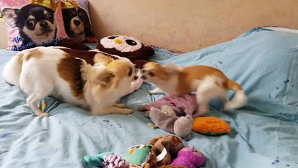 Jeux du matin sur le lit