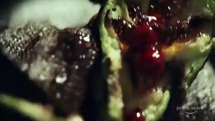 HOMECOMING 2 Trailer (2020) Janelle Monáe, Thriller Series HD