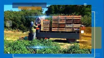 Tarıma her şey 'Tarım Orman Akademi'de çiftçi, üretici 7/24 istediği bilgiye ulaşabilecek
