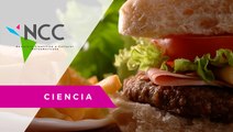 Alimentos vs Comida chatarra. La diferencia que mejorará tus hábitos alimenticios