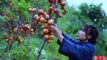 吊柿饼-It’s a red mountain, and in the fall, it’s natural to make some sweet persimmons.- Best Oddly Satisfying
