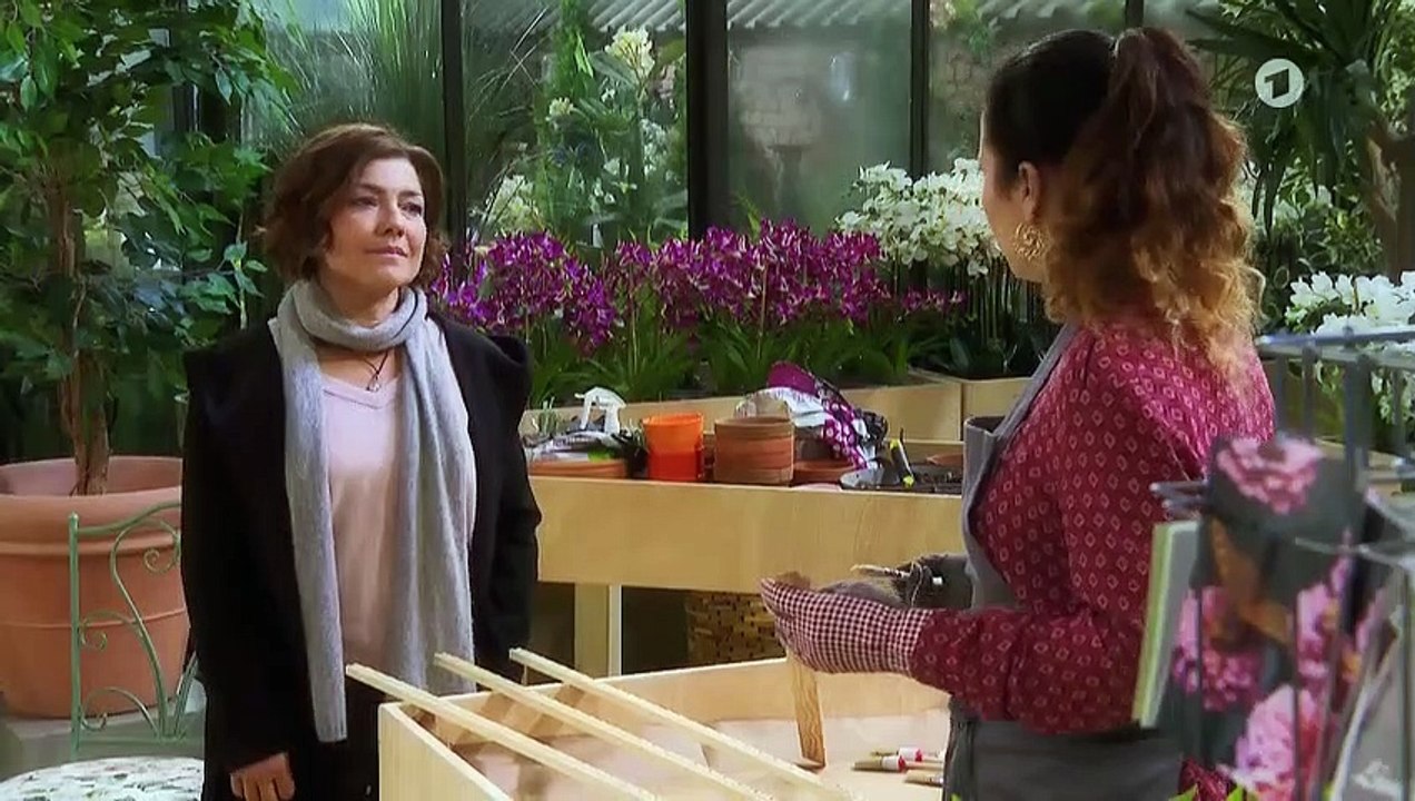 Rote Rosen 3120 folge