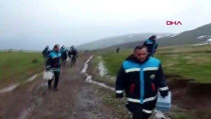 Süphan Gölü'nde tedirgin eden 'balık' ölümleri