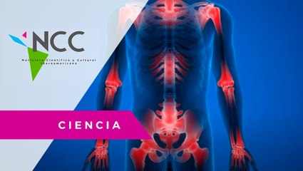 Universidad de Tamaulipas investiga la pérdida de la masa ósea con ayuda de imágenes en 3D